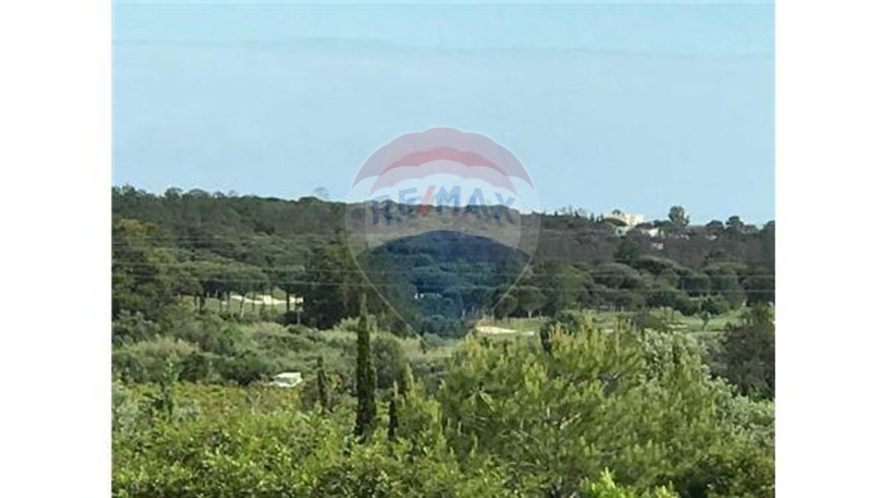 Terreno P/ Prédio para Venda em Almancil Foto 2