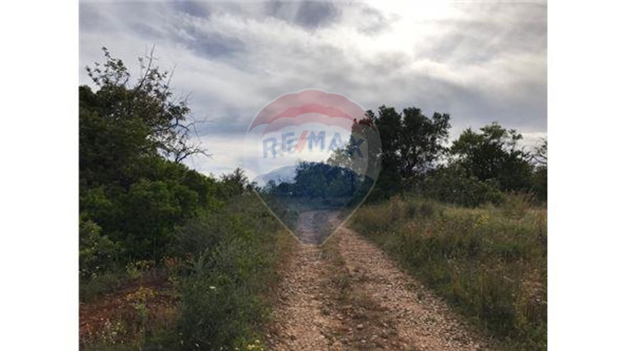 Terreno P/ Prédio para Venda em Almancil Foto 5