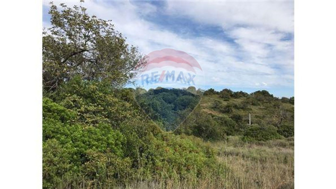 Terreno P/ Prédio para Venda em Almancil Foto 3