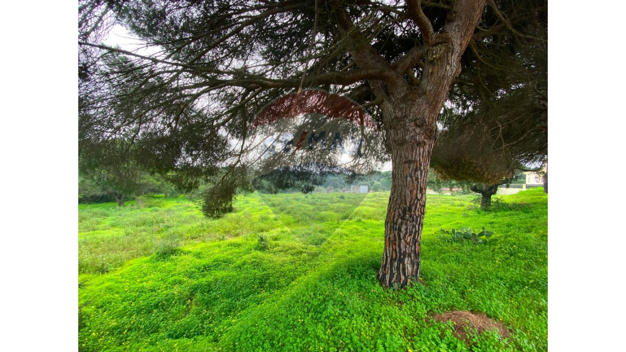 Terreno P/ Prédio para Venda em Quarteira Foto 24