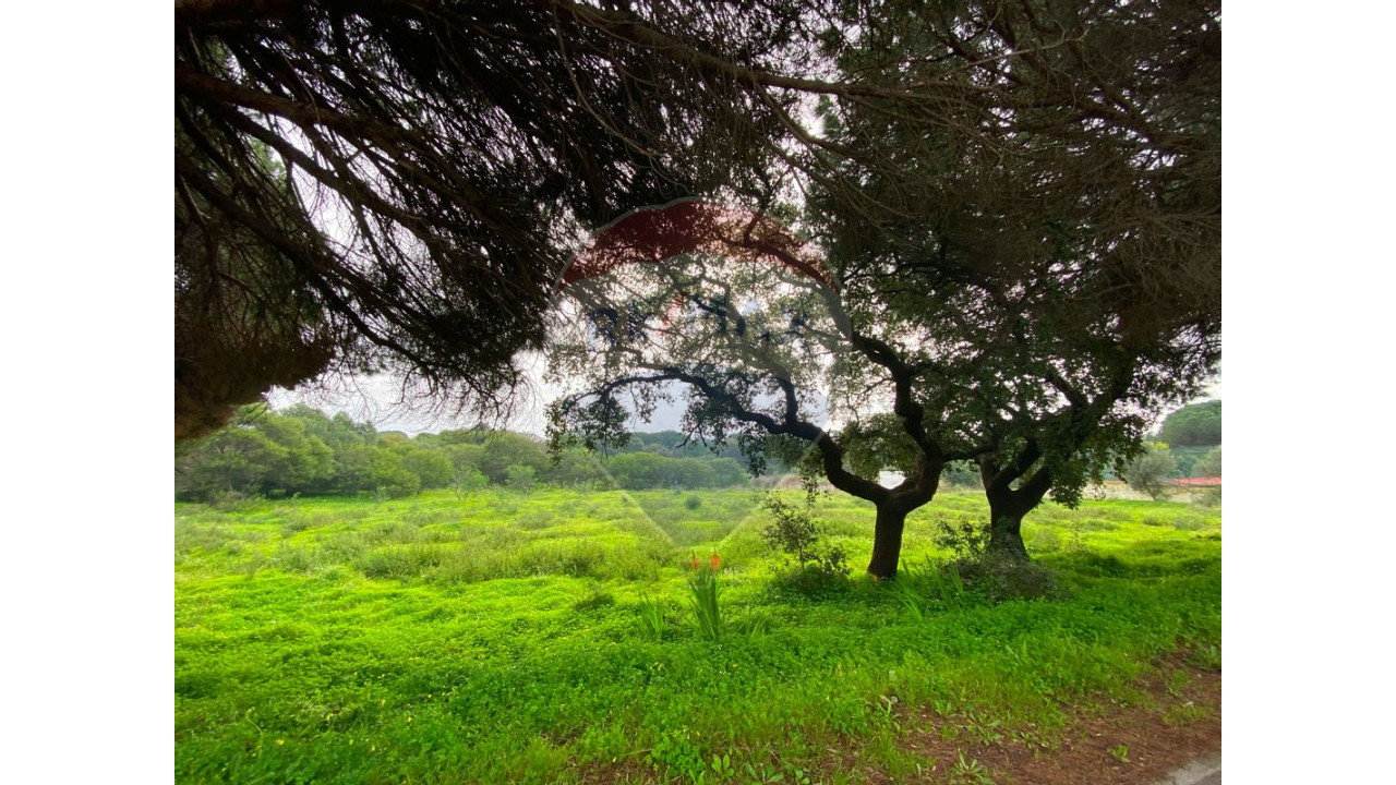 Terreno P/ Prédio para Venda em Quarteira Foto 19