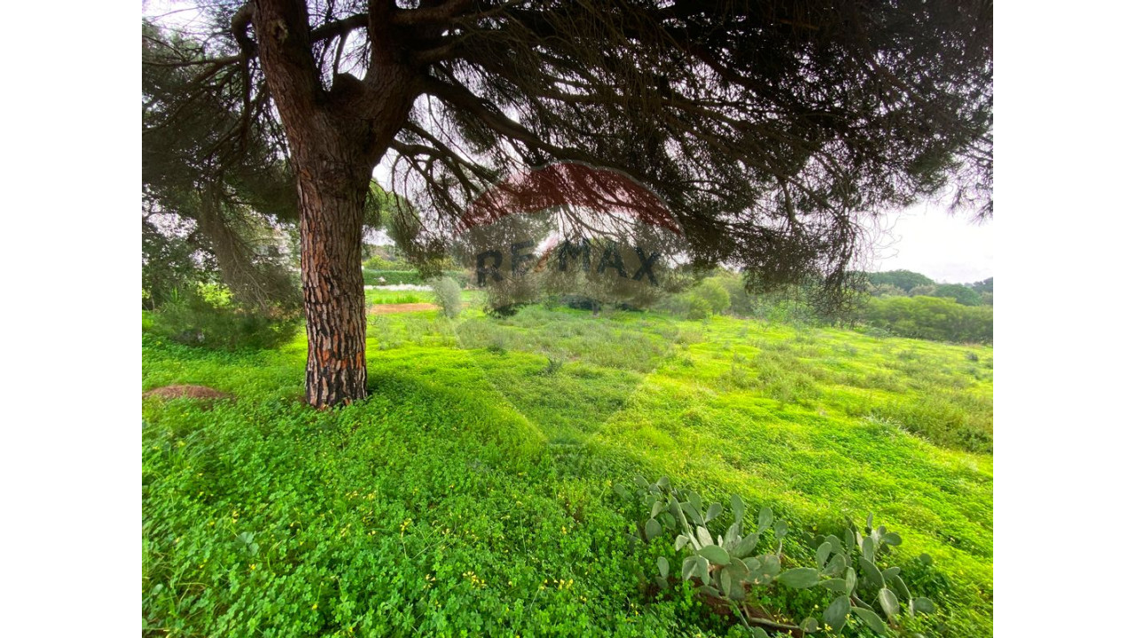 Terreno P/ Prédio para Venda em Quarteira Foto 25