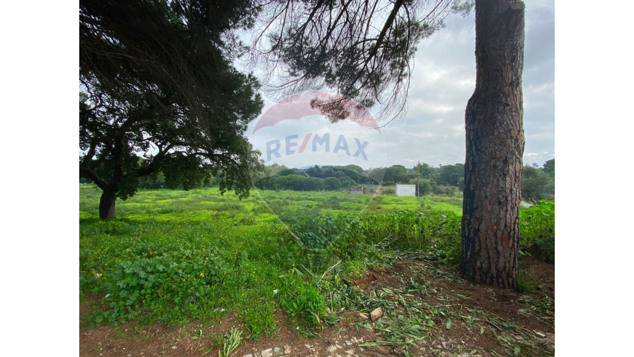 Terreno P/ Prédio para Venda em Quarteira Foto 18