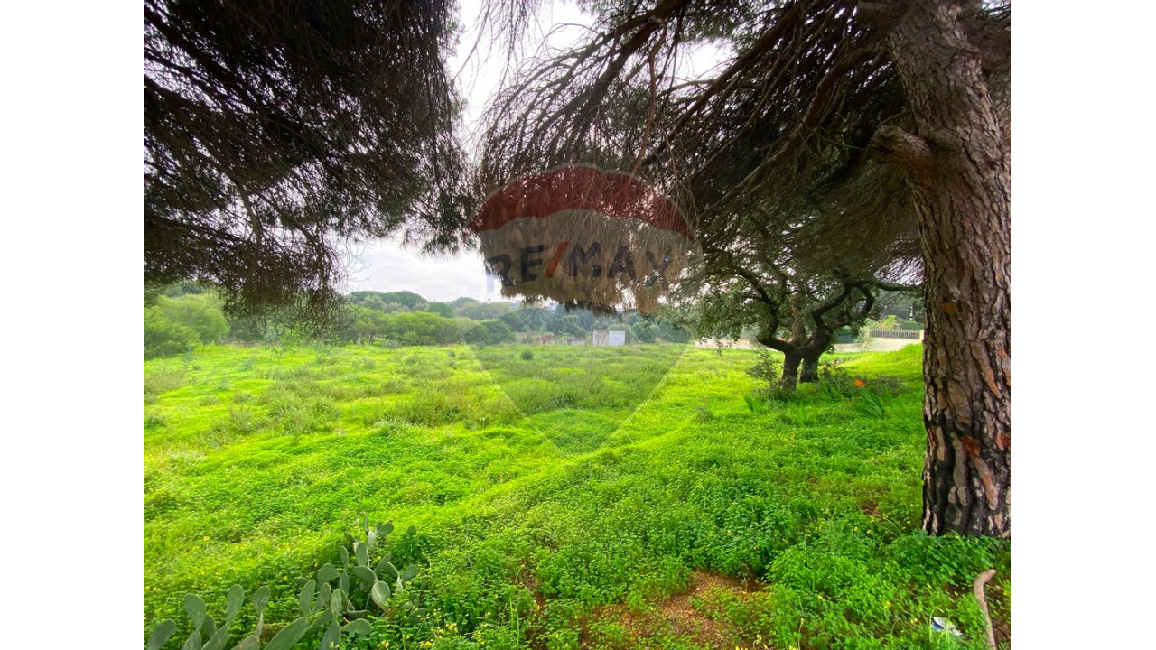 Terreno P/ Prédio para Venda em Quarteira Foto 21