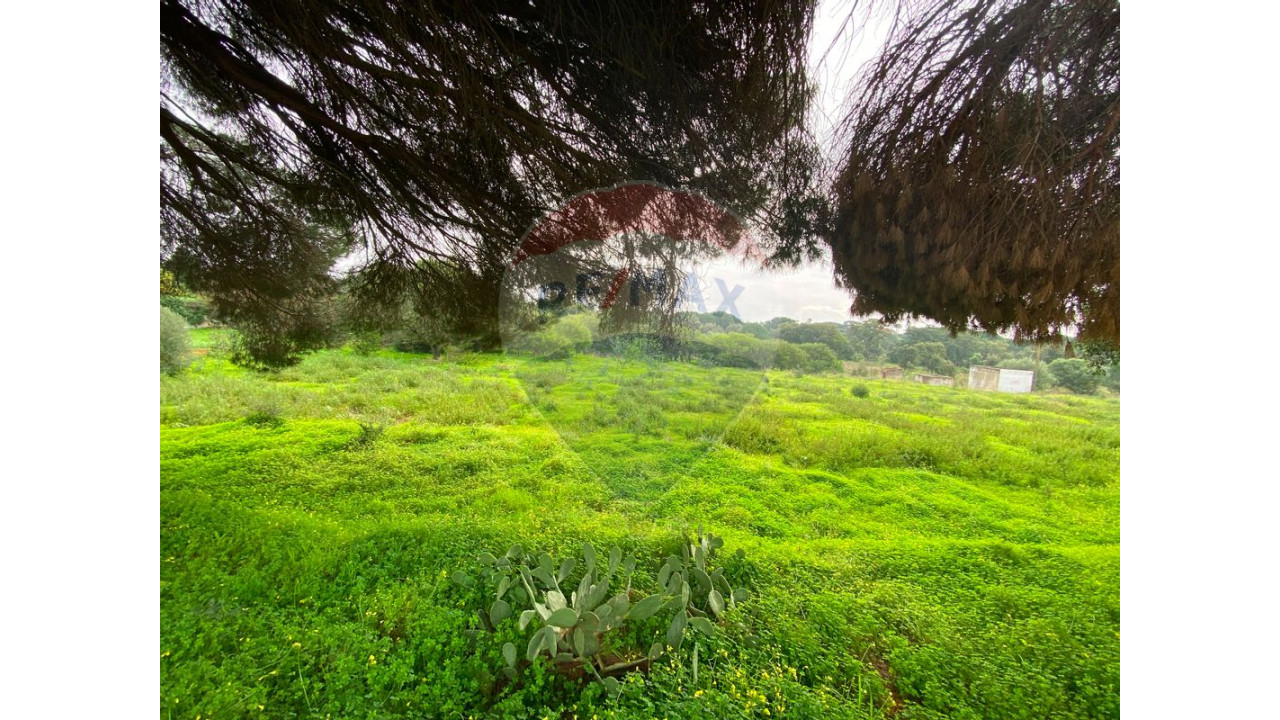 Terreno P/ Prédio para Venda em Quarteira Foto 20