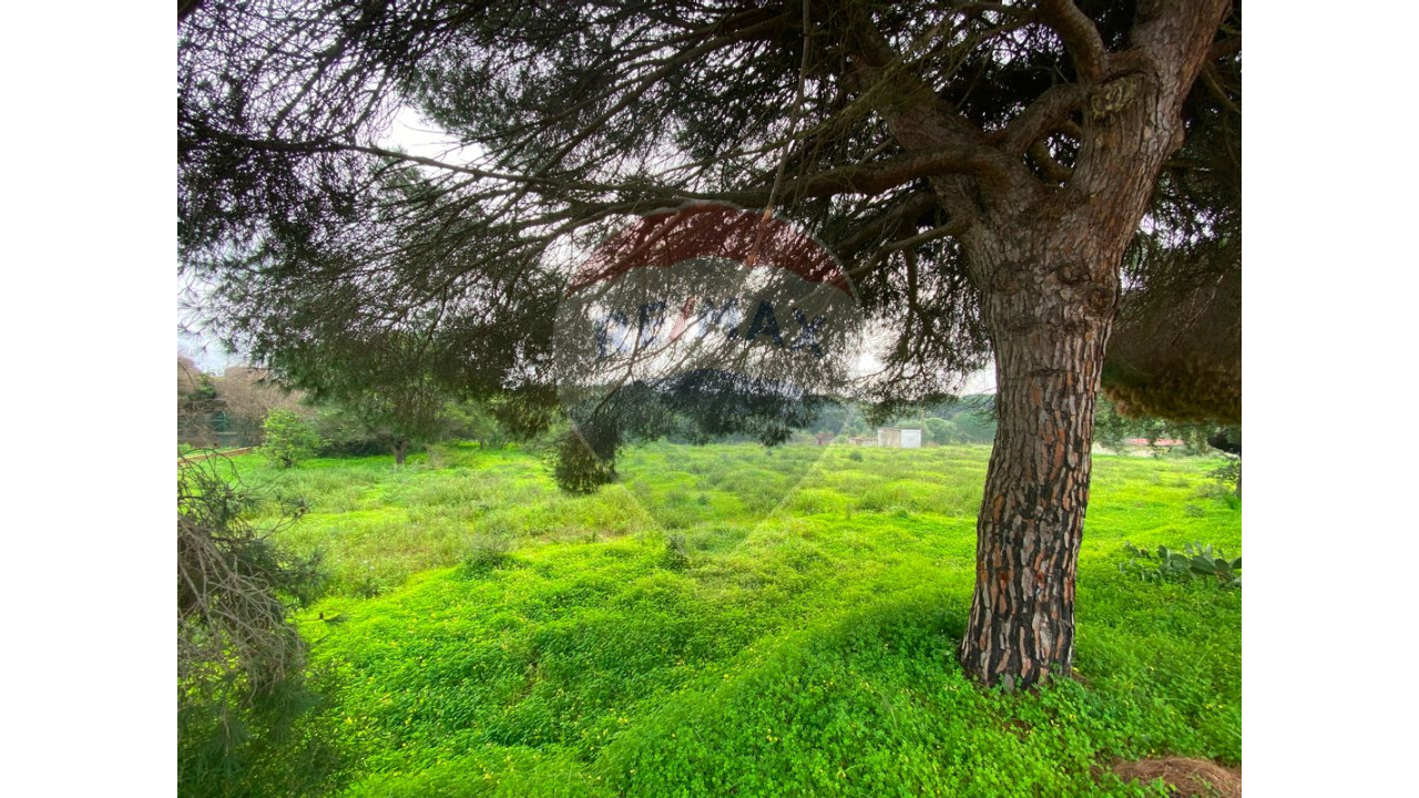 Terreno P/ Prédio para Venda em Quarteira Foto 23