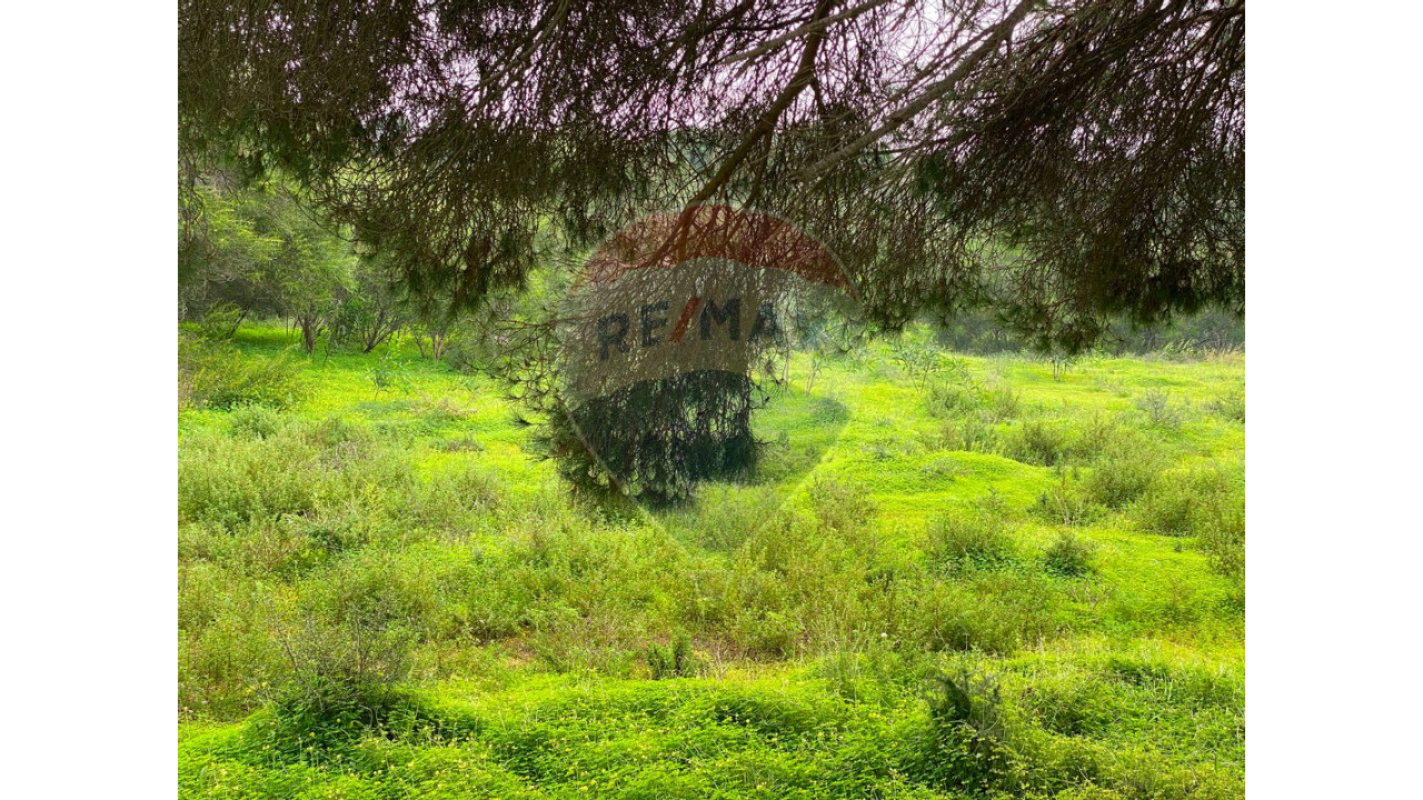 Terreno P/ Prédio para Venda em Quarteira Foto 27