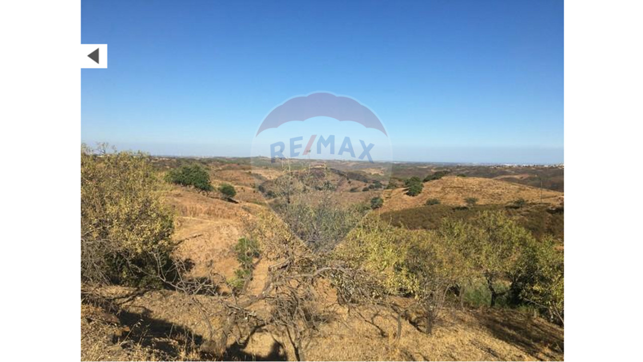 Terreno P/ Prédio para Venda em Odeleite Foto 4