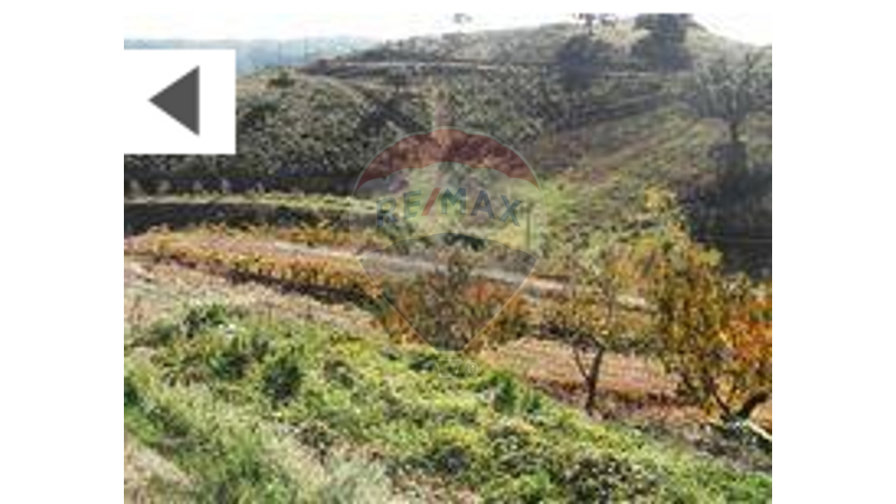 Terreno P/ Prédio para Venda em Odeleite Foto 3