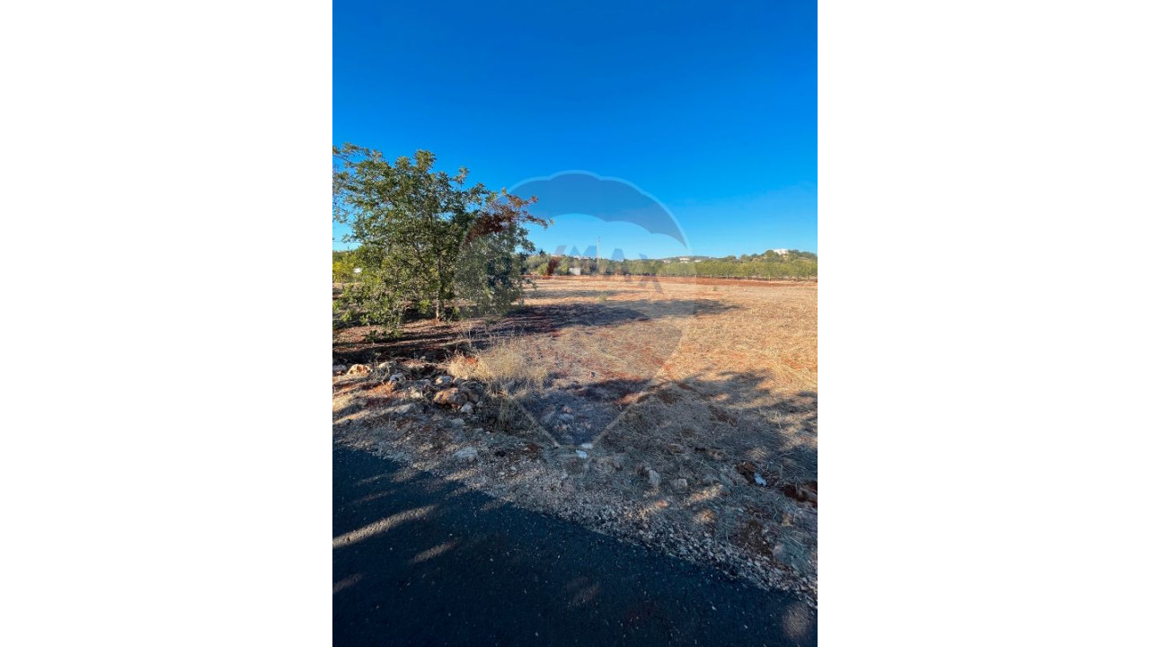 Terreno P/ Prédio para Venda em Boliqueime Foto 5