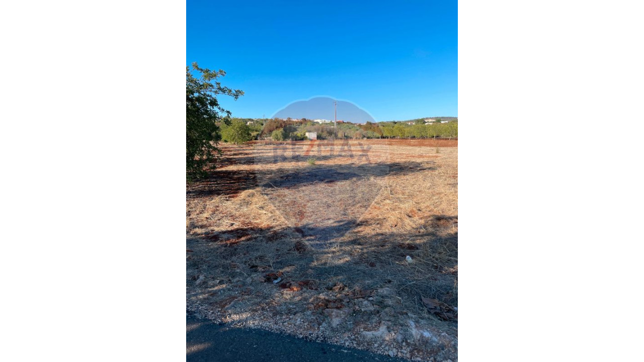 Terreno P/ Prédio para Venda em Boliqueime Foto 3