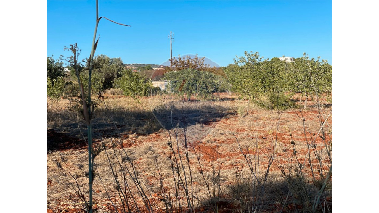 Terreno P/ Prédio para Venda em Boliqueime Foto 2