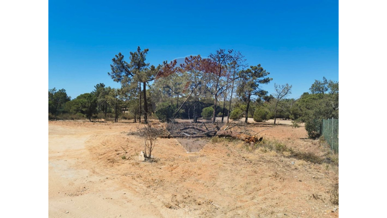 Terreno P/ Prédio para Venda em Almancil Foto 7