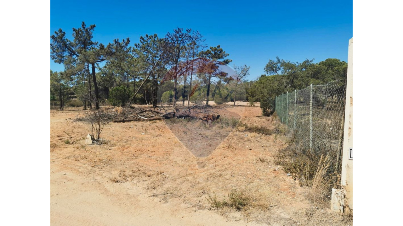 Terreno P/ Prédio para Venda em Almancil Foto 16