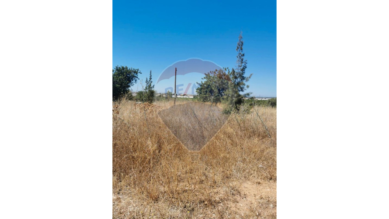 Terreno P/ Prédio para Venda em Almancil Foto 12