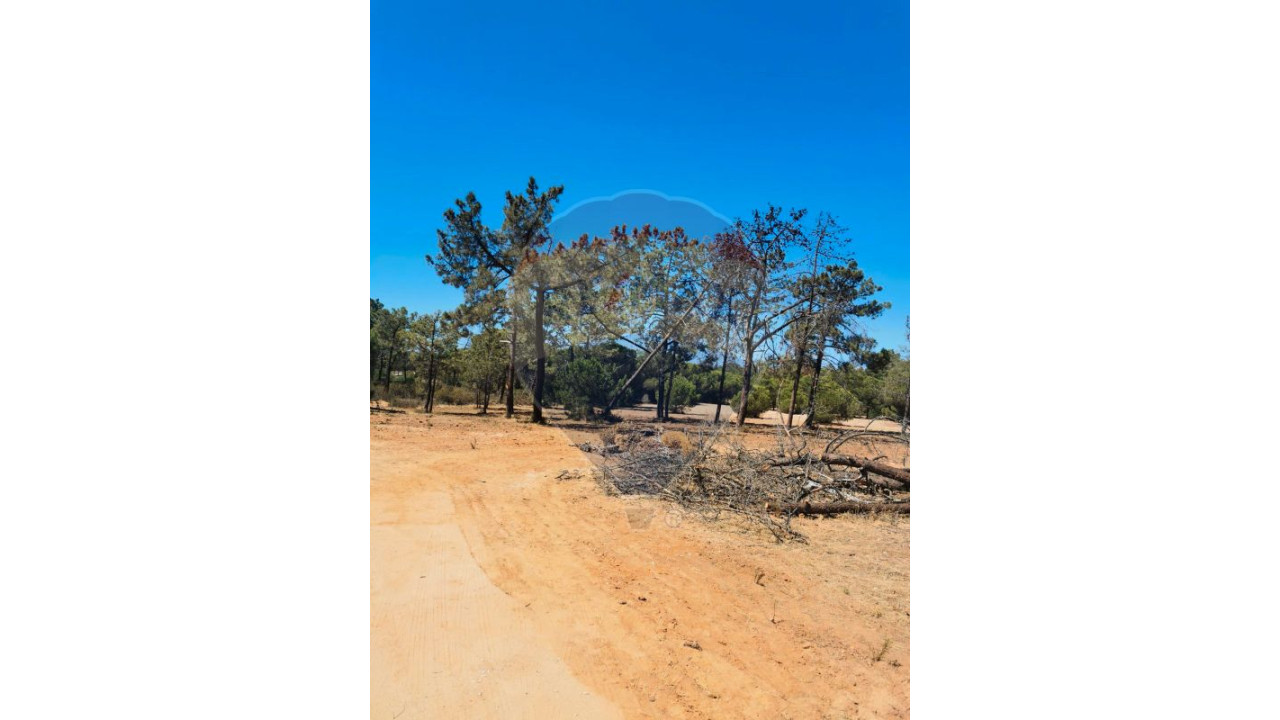 Terreno P/ Prédio para Venda em Almancil Foto 9