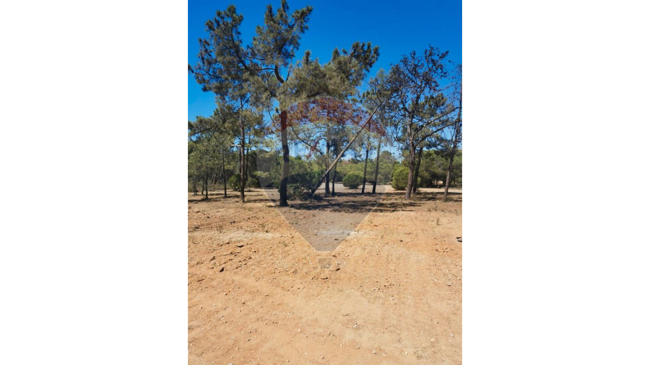 Terreno P/ Prédio para Venda em Almancil Foto 11