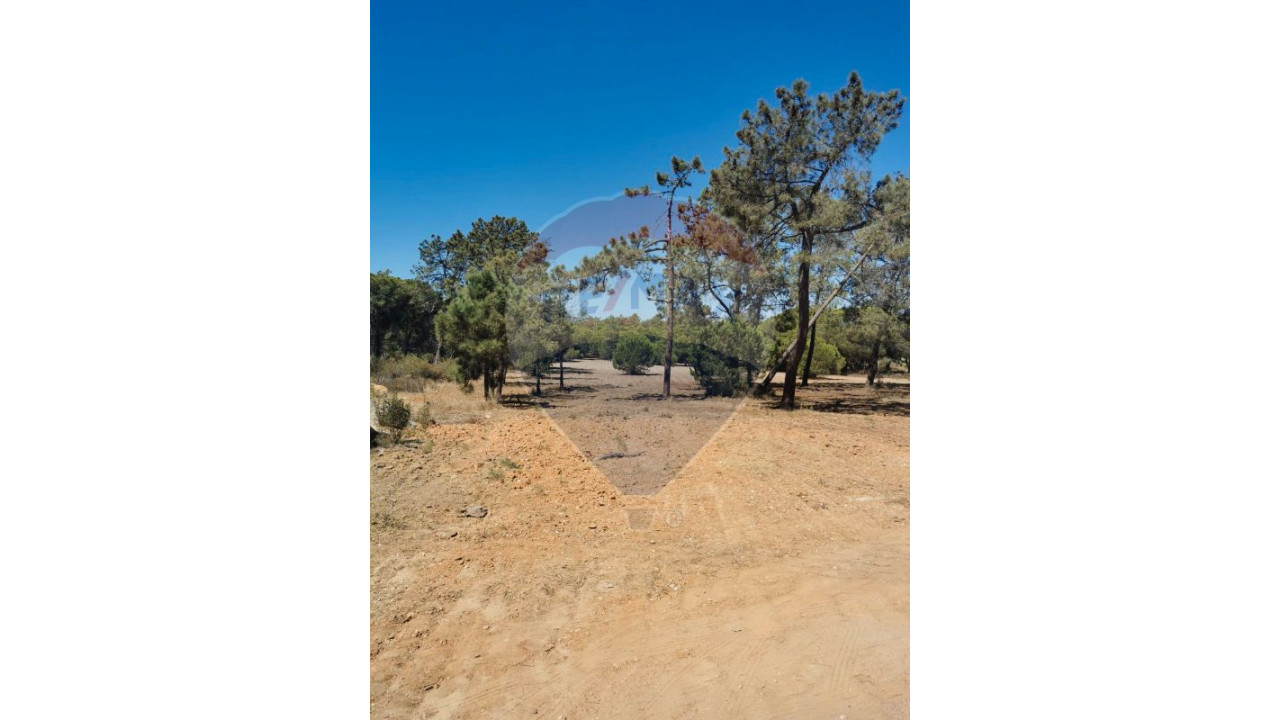 Terreno P/ Prédio para Venda em Almancil Foto 13