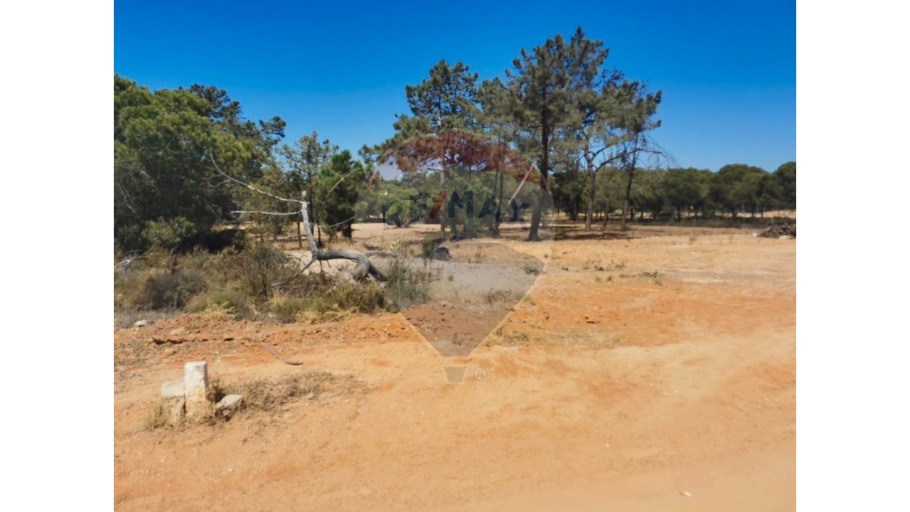 Terreno P/ Prédio para Venda em Almancil Foto 4