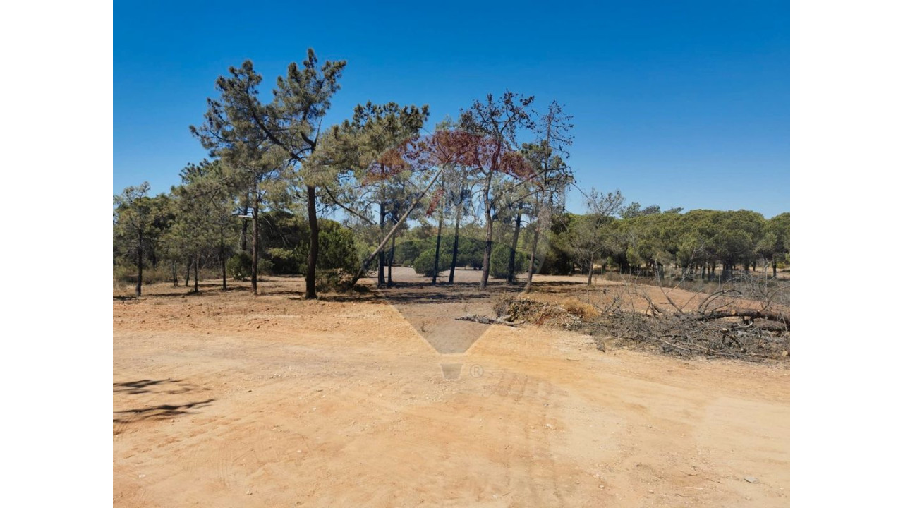 Terreno P/ Prédio para Venda em Almancil Foto 10