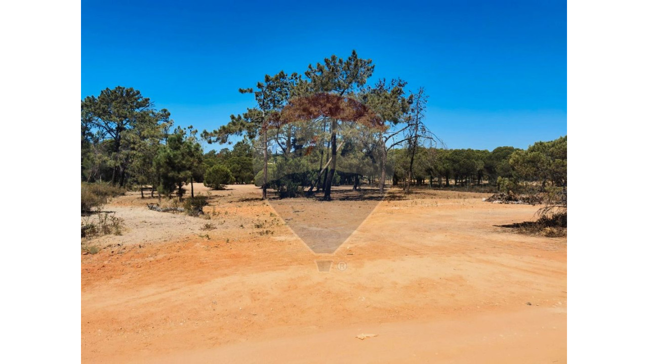 Terreno P/ Prédio para Venda em Almancil Foto 1