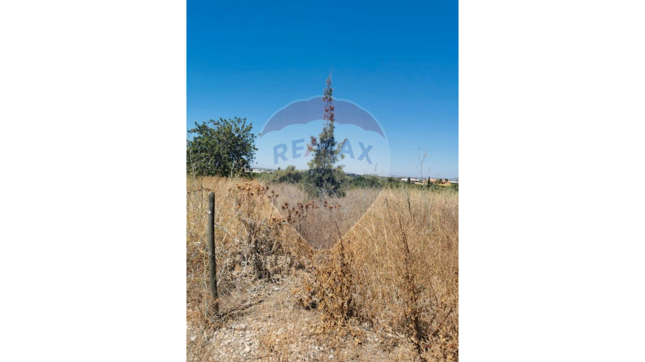 Terreno P/ Prédio para Venda em Almancil Foto 17