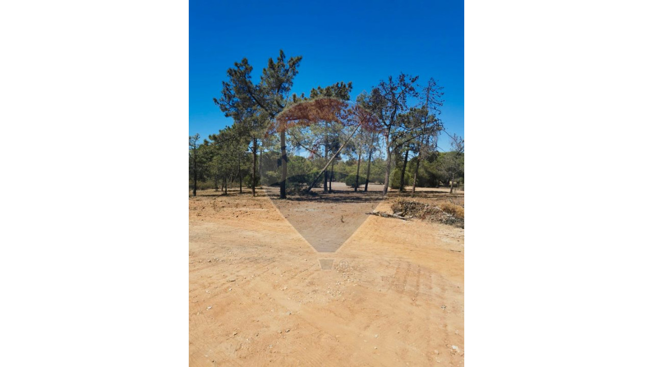 Terreno P/ Prédio para Venda em Almancil Foto 8