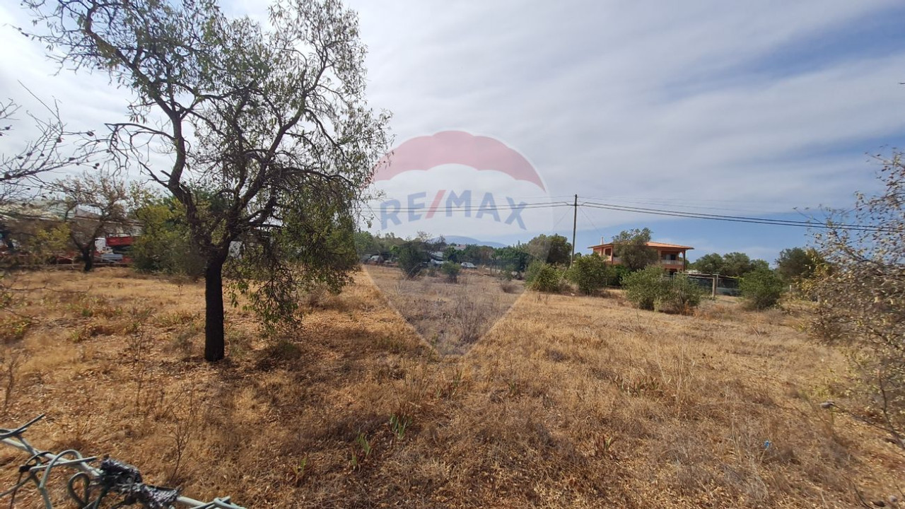 Terreno P/ Prédio para Venda em Quarteira Foto 7