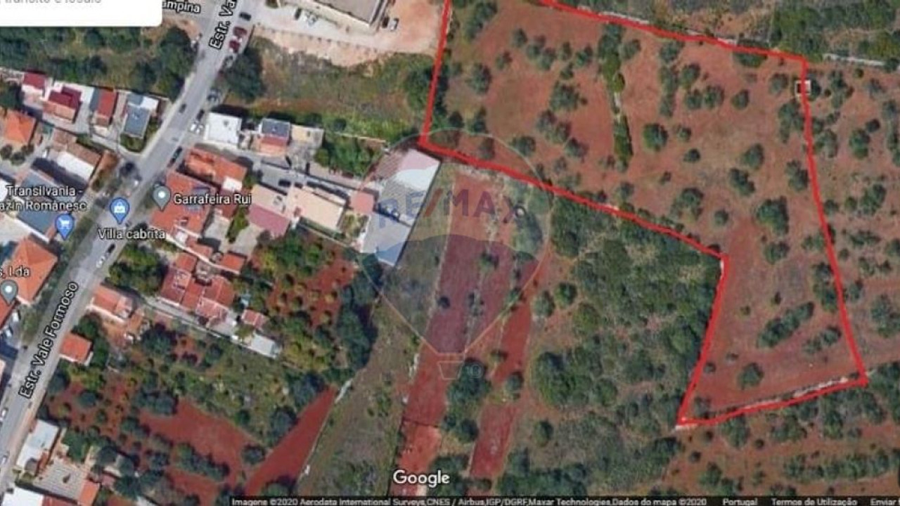 Terreno P/ Prédio para Venda em Almancil Foto 3