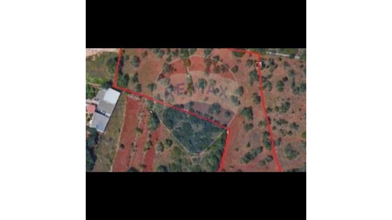 Terreno P/ Prédio para Venda em Almancil Foto 2