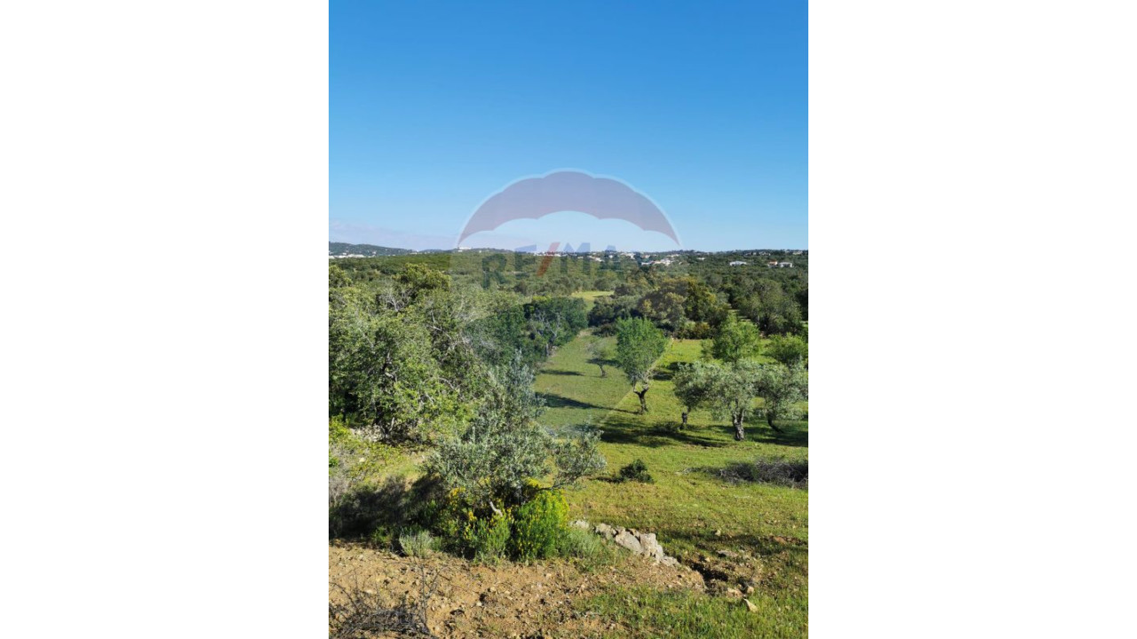 Terreno P/ Prédio para Venda em São Brás de Alportel Foto 9