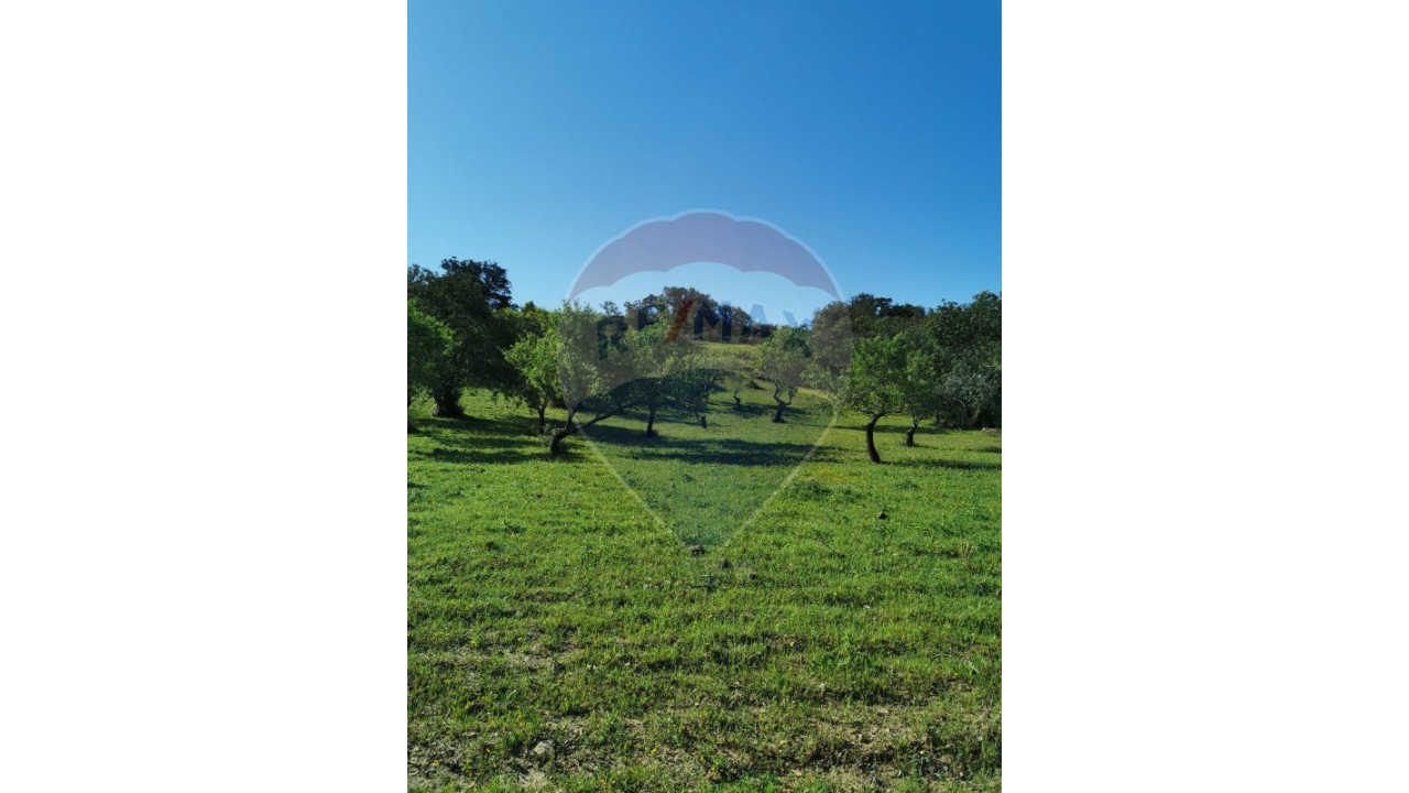 Terreno P/ Prédio para Venda em São Brás de Alportel Foto 1