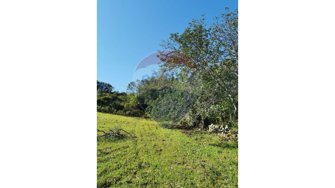 Terreno P/ Prédio para Venda em São Brás de Alportel Foto 3