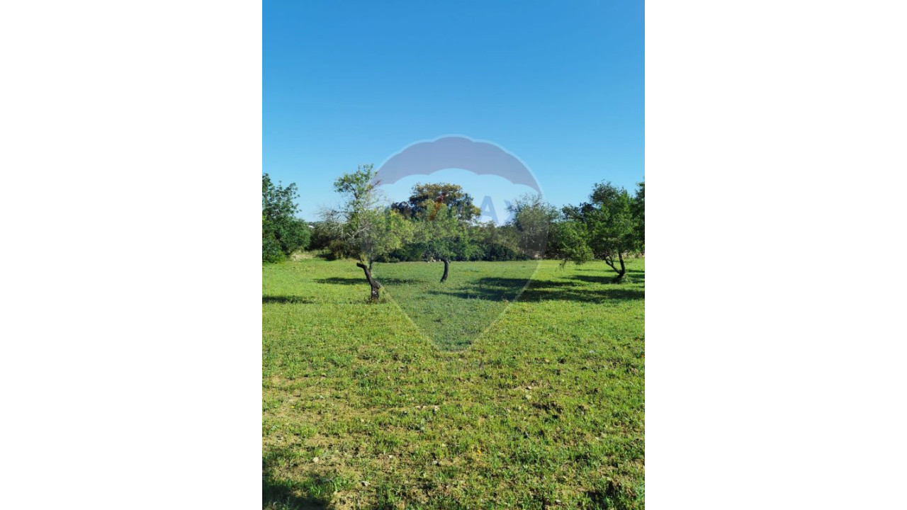 Terreno P/ Prédio para Venda em São Brás de Alportel Foto 6