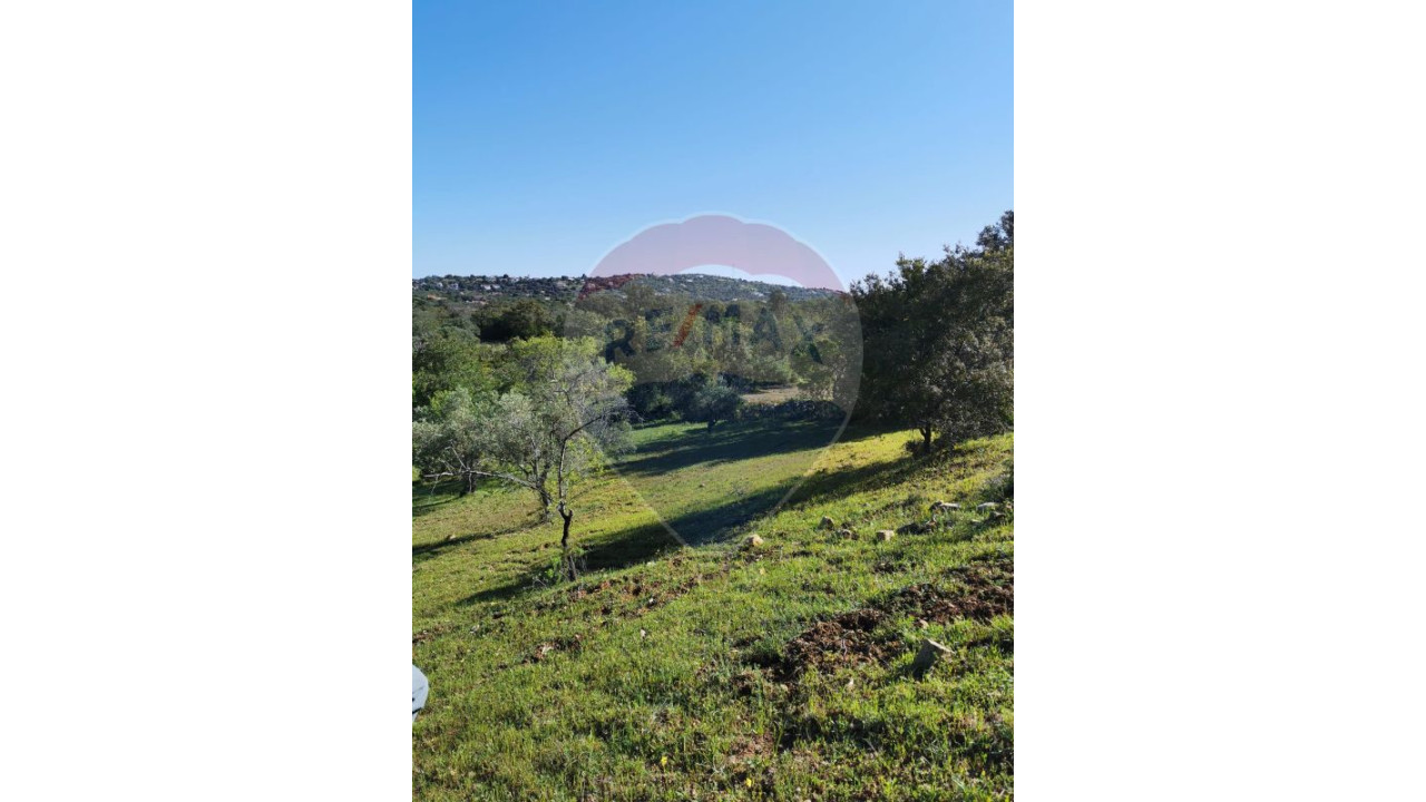 Terreno P/ Prédio para Venda em São Brás de Alportel Foto 8