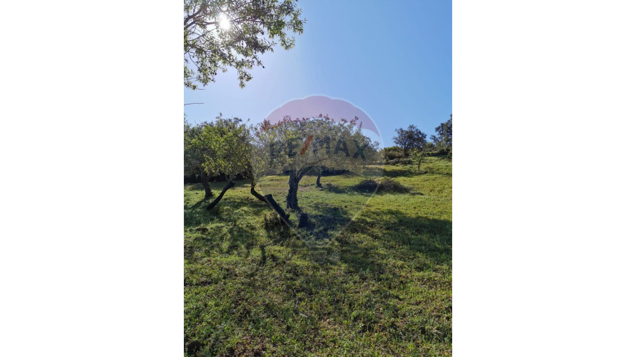 Terreno P/ Prédio para Venda em São Brás de Alportel Foto 5