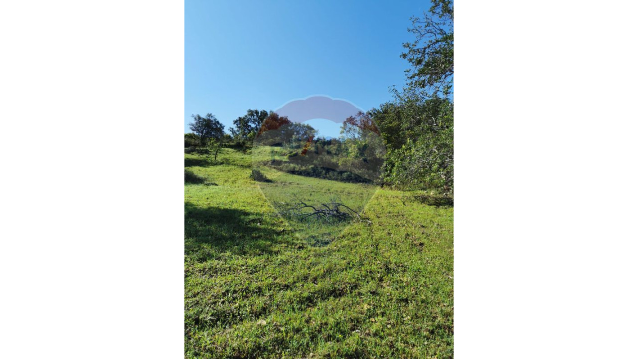 Terreno P/ Prédio para Venda em São Brás de Alportel Foto 4