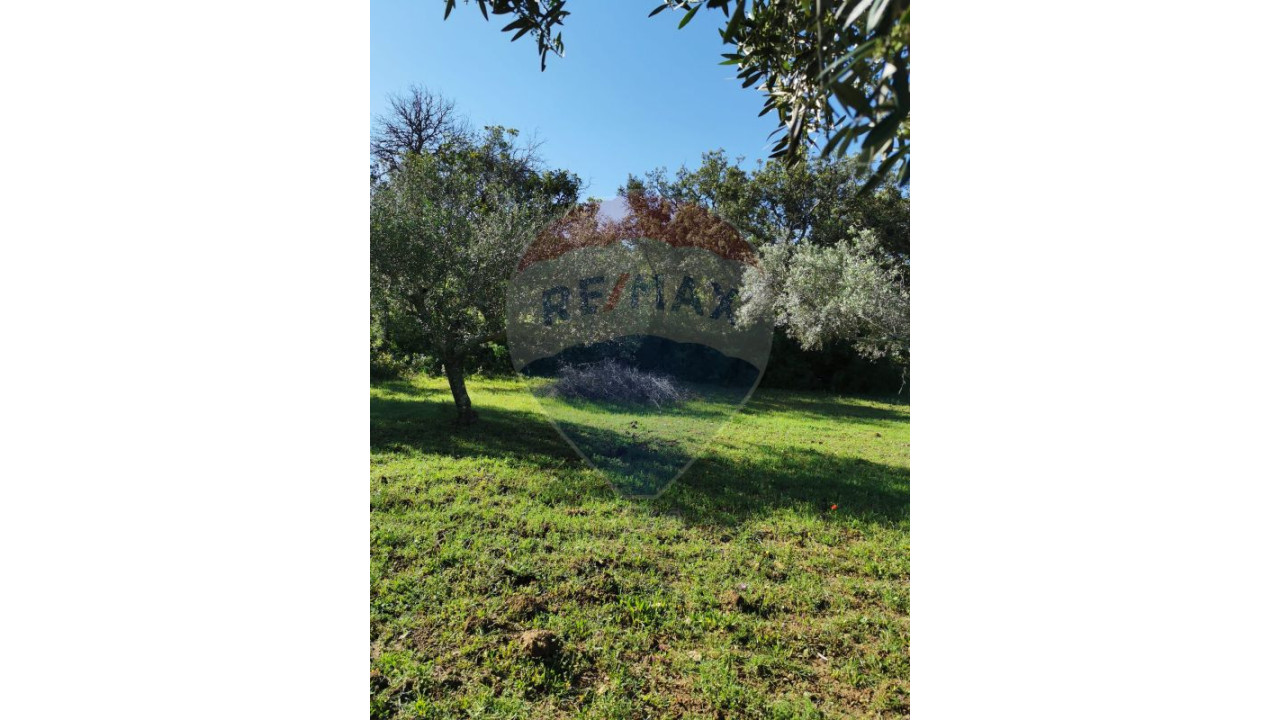 Terreno P/ Prédio para Venda em São Brás de Alportel Foto 2