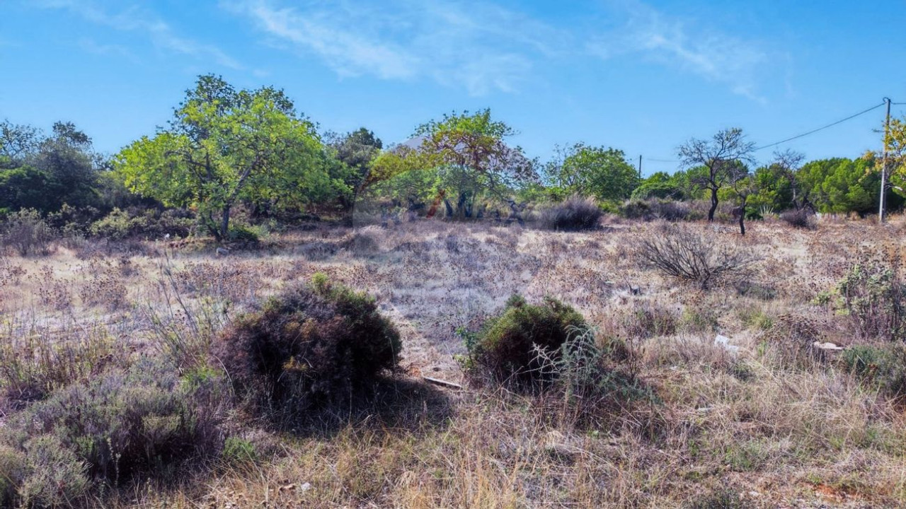 Terreno P/ Prédio para Venda em Santa Barbara de Nexe Foto 4
