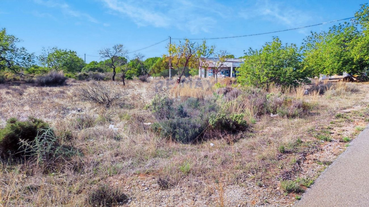 Terreno P/ Prédio para Venda em Santa Barbara de Nexe Foto 3