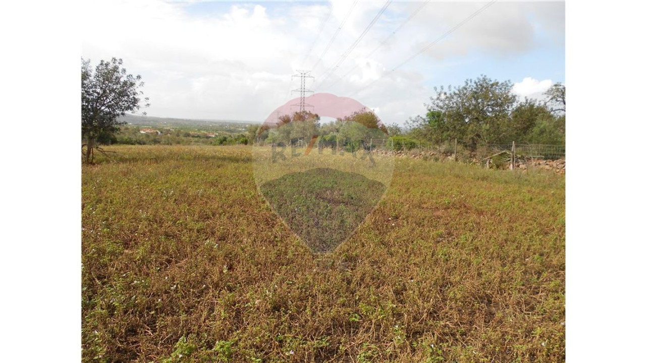 Terreno P/ Prédio para Venda em São Bartolomeu de Messines Foto 5