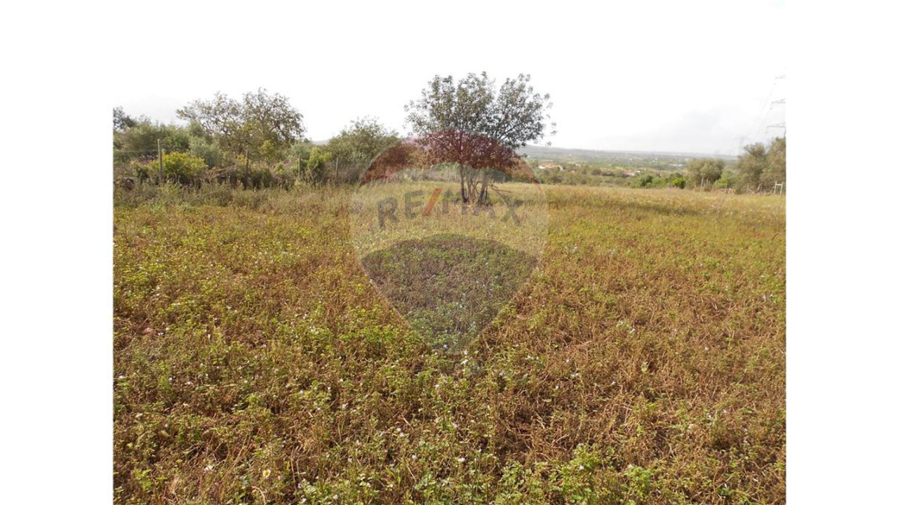 Terreno P/ Prédio para Venda em São Bartolomeu de Messines Foto 4