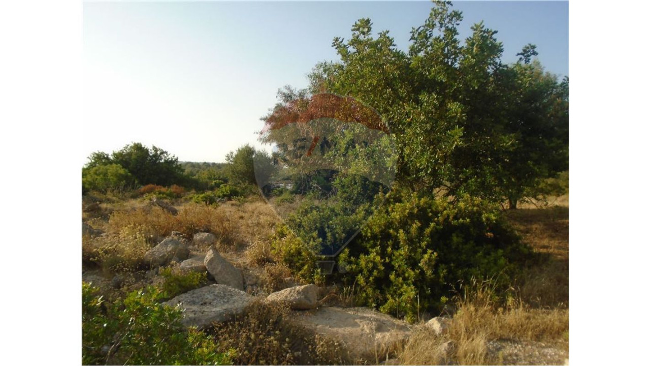 Terreno P/ Prédio para Venda em Boliqueime Foto 2