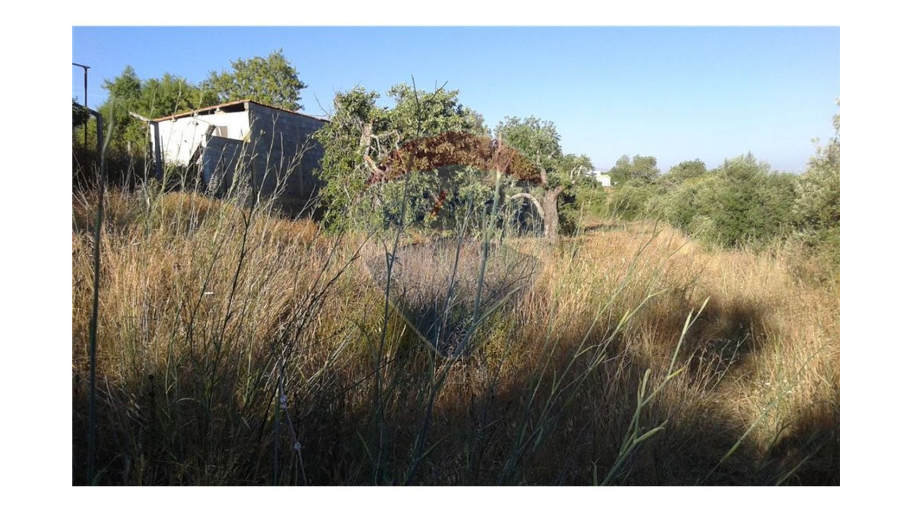 Terreno P/ Prédio para Venda em São Bartolomeu de Messines Foto 5