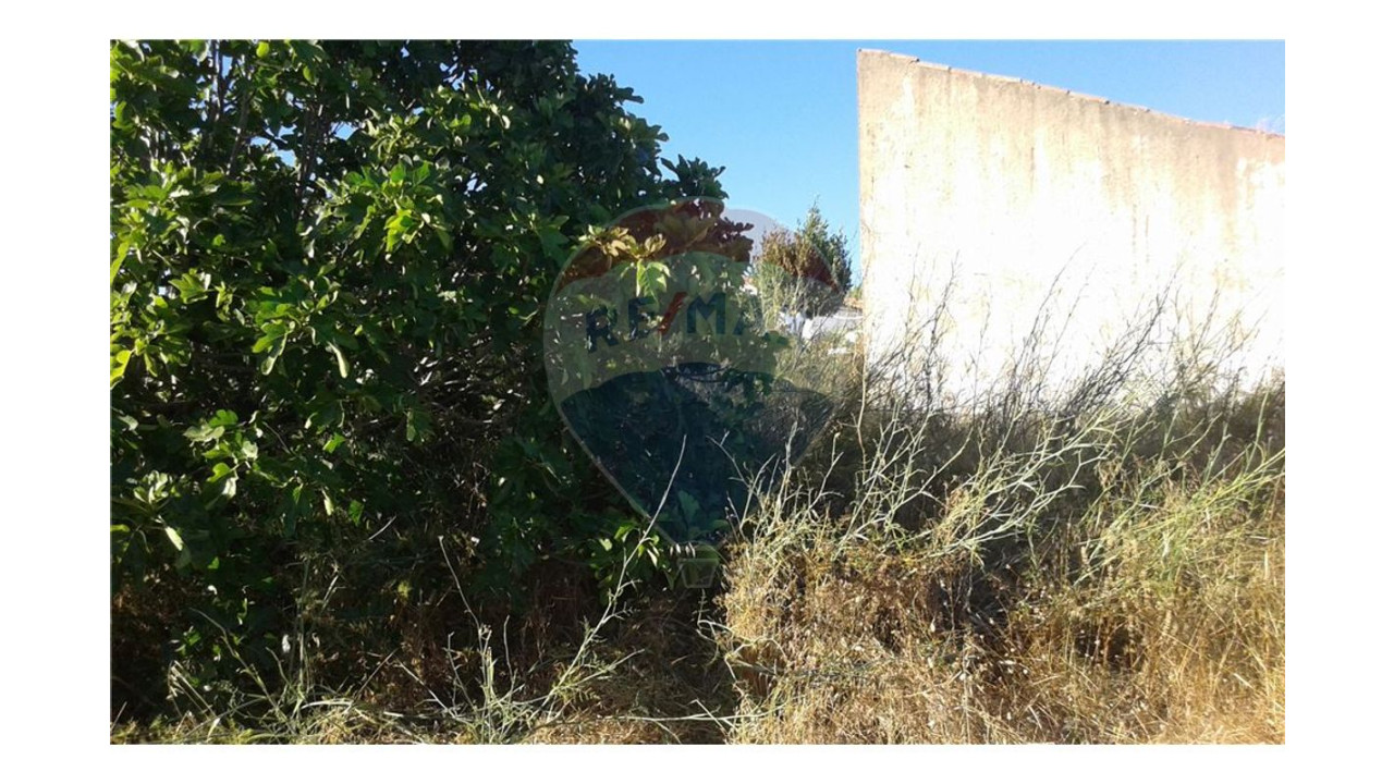 Terreno P/ Prédio para Venda em São Bartolomeu de Messines Foto 7