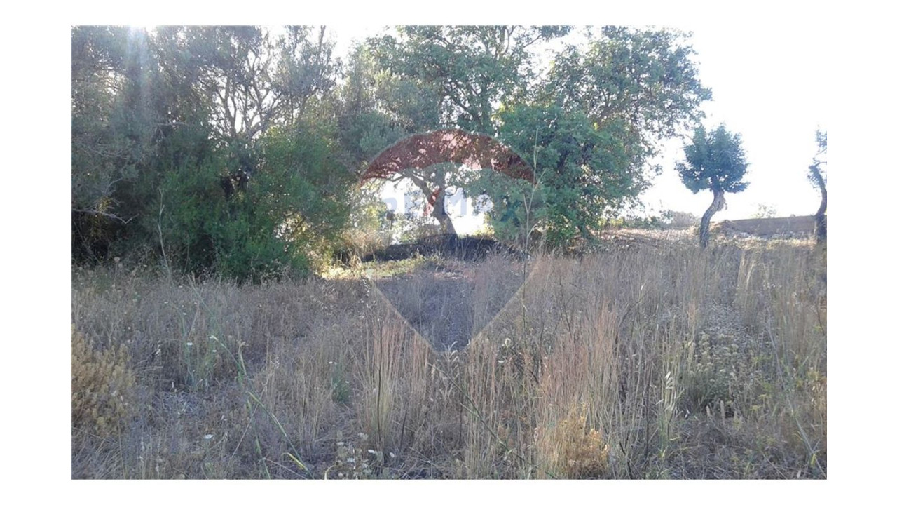 Terreno P/ Prédio para Venda em São Bartolomeu de Messines Foto 4