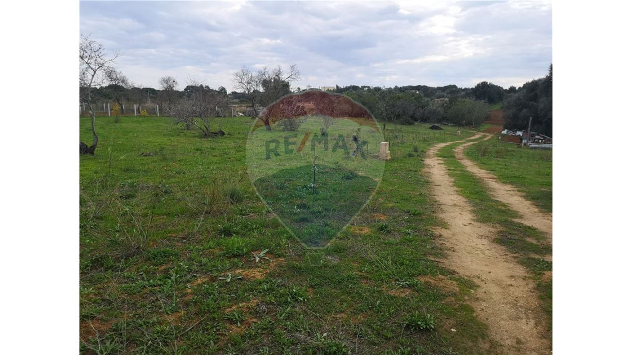 Terreno P/ Prédio para Venda em Lagoa e Carvoeiro Foto 3