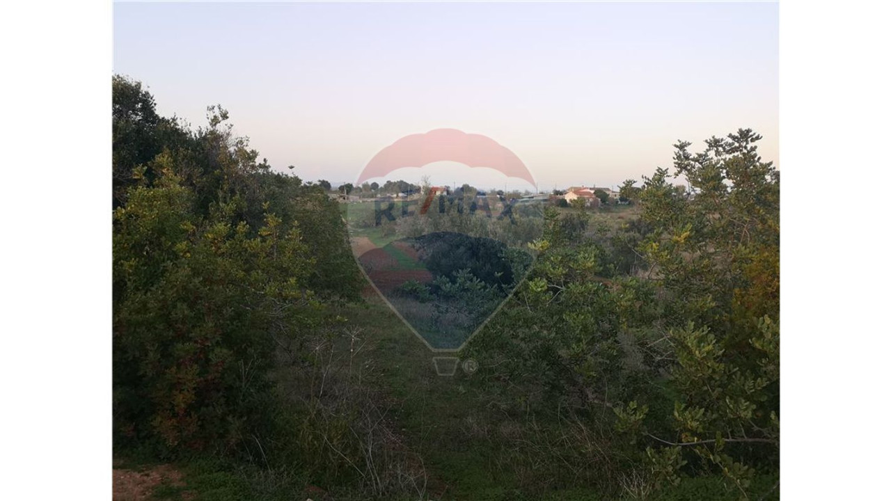 Terreno P/ Prédio para Venda em Lagoa e Carvoeiro Foto 6