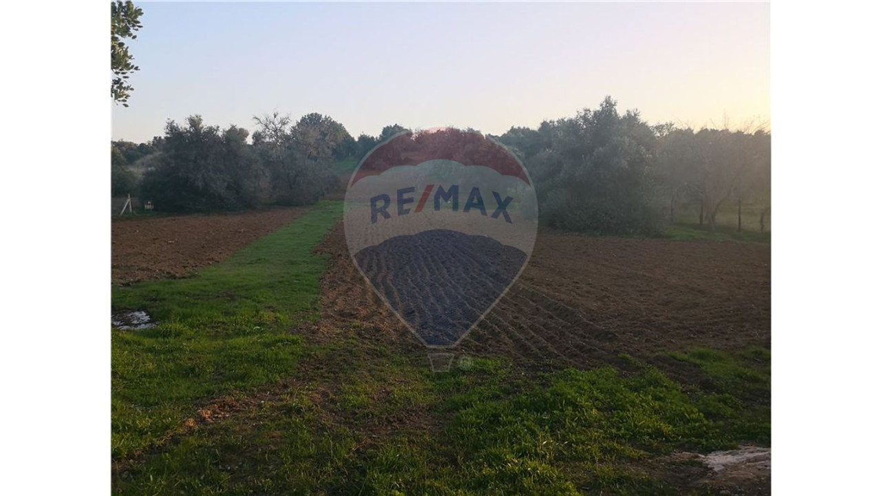 Terreno P/ Prédio para Venda em Lagoa e Carvoeiro Foto 4