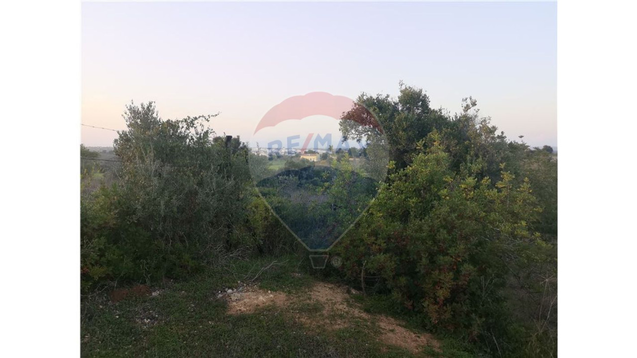 Terreno P/ Prédio para Venda em Lagoa e Carvoeiro Foto 5